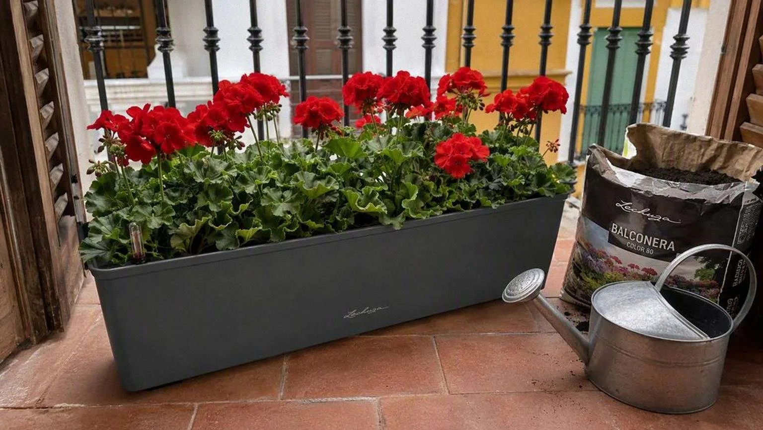 Jardinera rectangular gris apoyada en el suelo de baldosa de un balcón, plantada de geranios rojos, junto a un saco de sustrato abierto y una regadera metálica