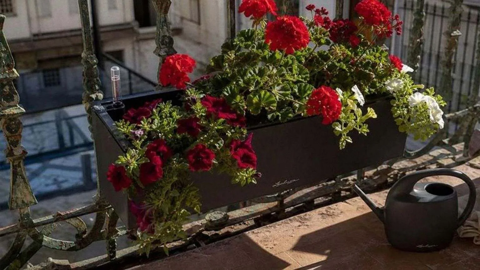 Jardinera rectangular oscura con geranios rojos y petunias colgada de la barandilla de hierro de un balcón, con el tubo del indicador de nivel asomando por un extremo